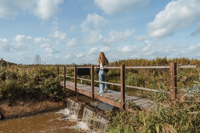 Vrouw wandelt over een bruggetje door de natte natuur van Kempenbroek