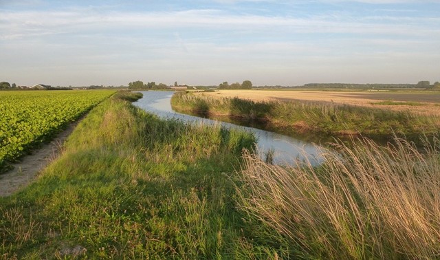 Walcheren