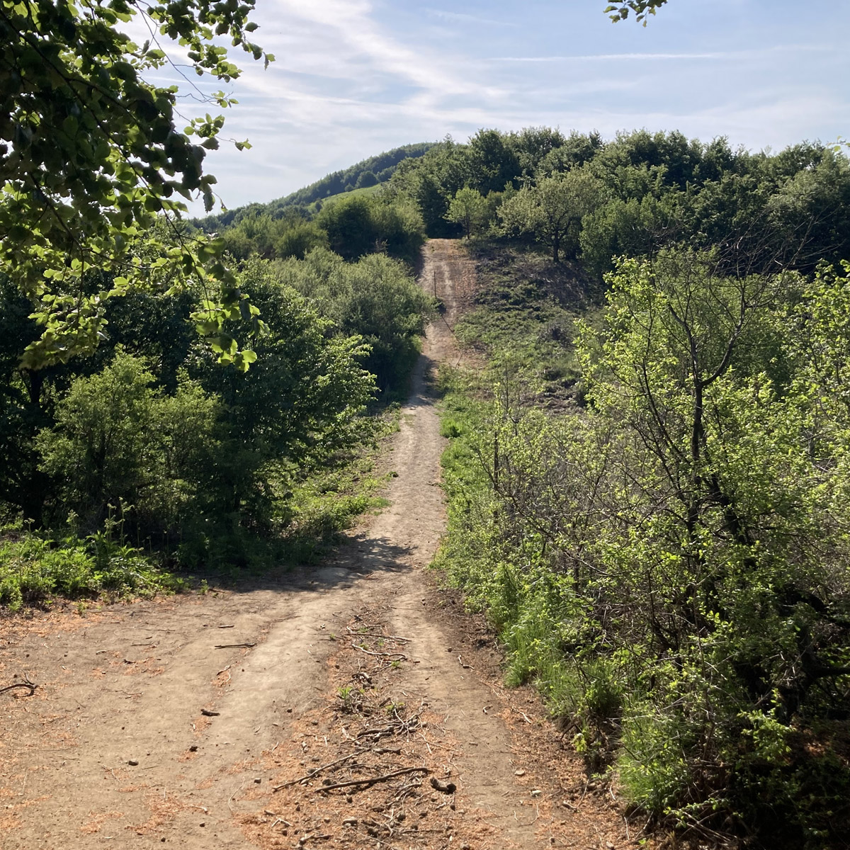 Afbeelding pad op Etappe 4