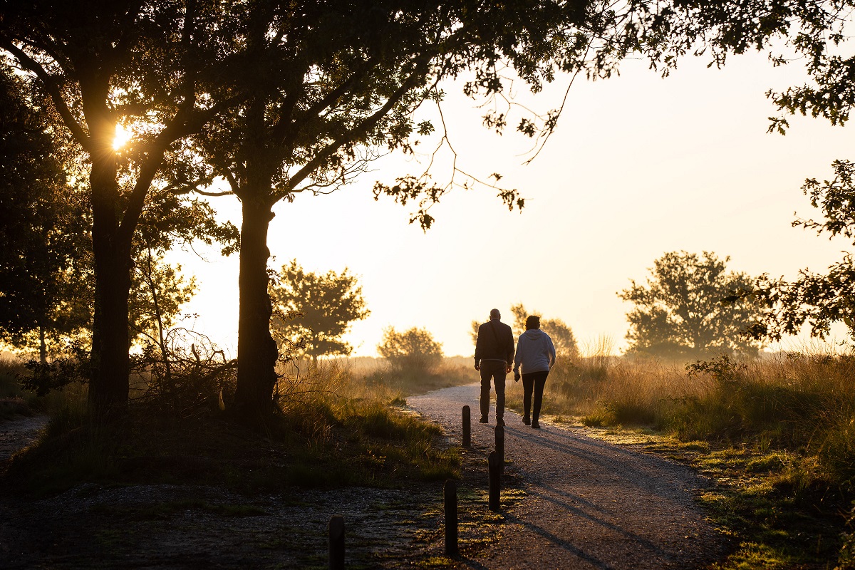 Header | Ode aan het wandelen