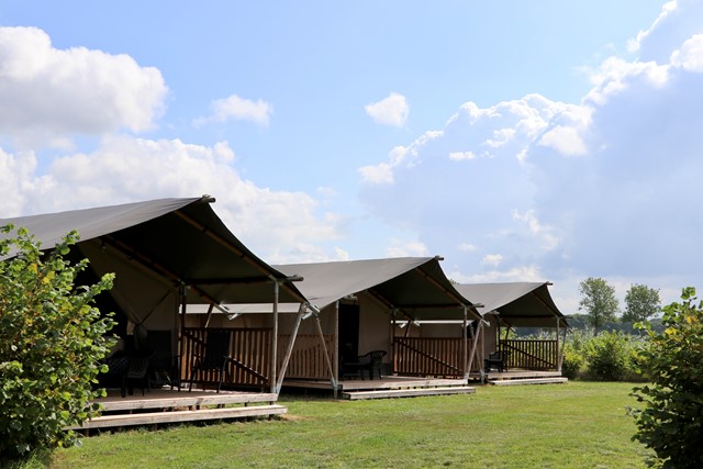 Safaritenten op Camping de Heerlijkheid Vorenseinde