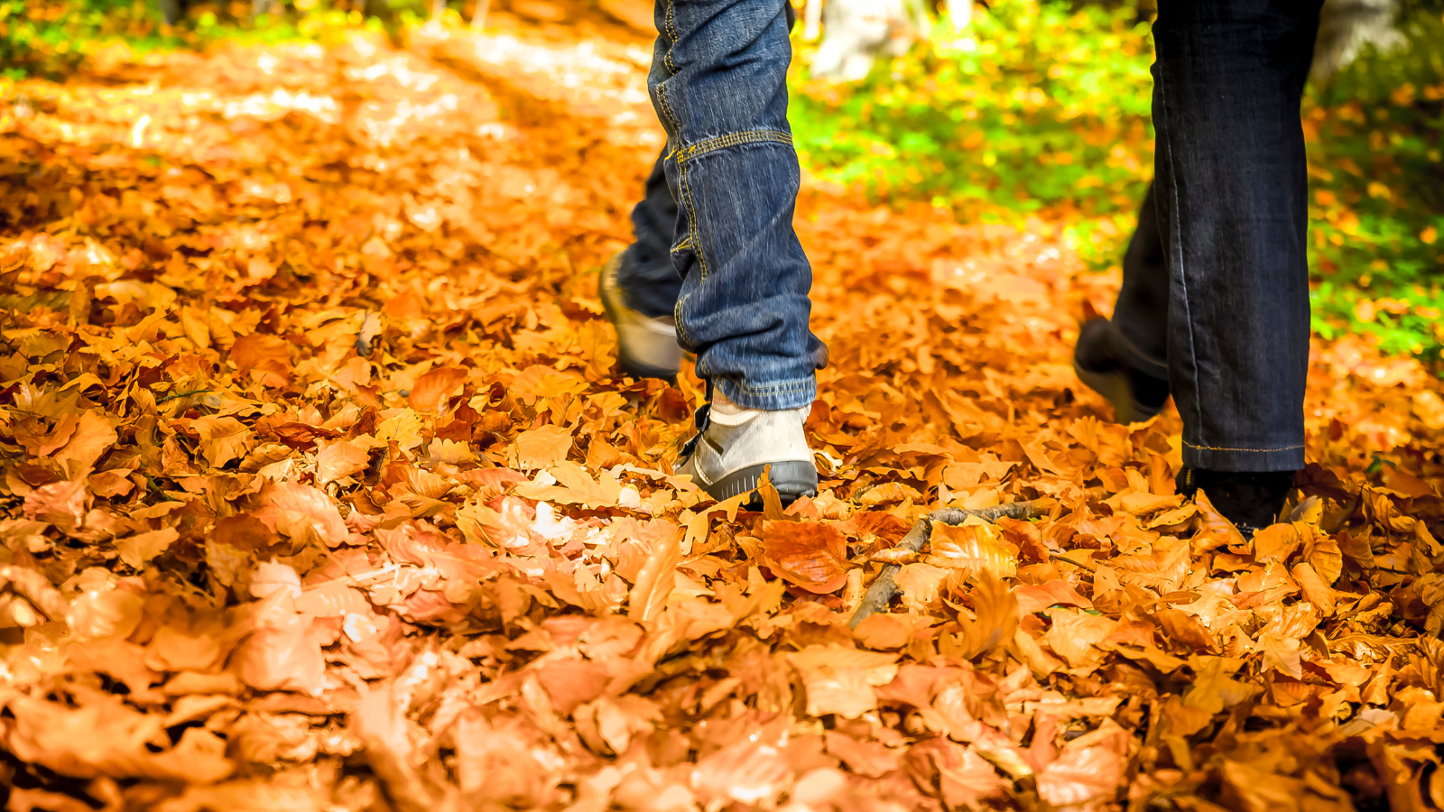 Wandelcoaching Dit Zijn De Voordelen