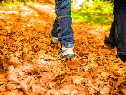 Wandelcoaching Dit Zijn De Voordelen