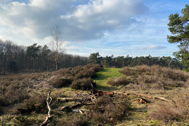 Wandelroute Wandeling Vol Verhalen Op Landgoed Warnsborn: Grafheuvel Heide