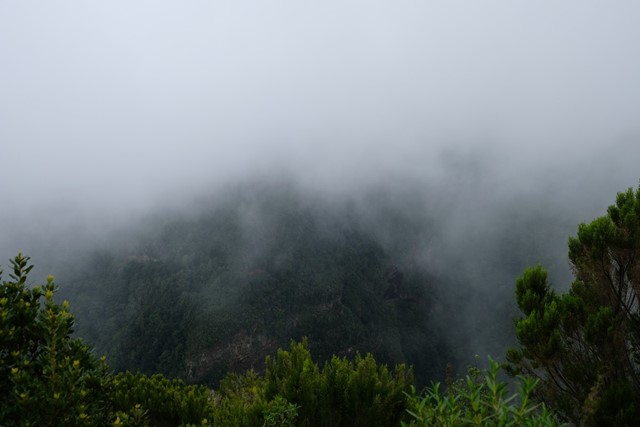 afbeelding van mist in de bergen.