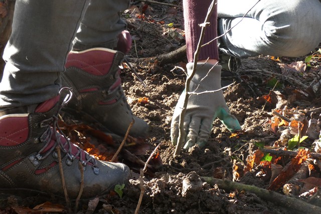 Bomen planten met Hanwag en Life Terra.