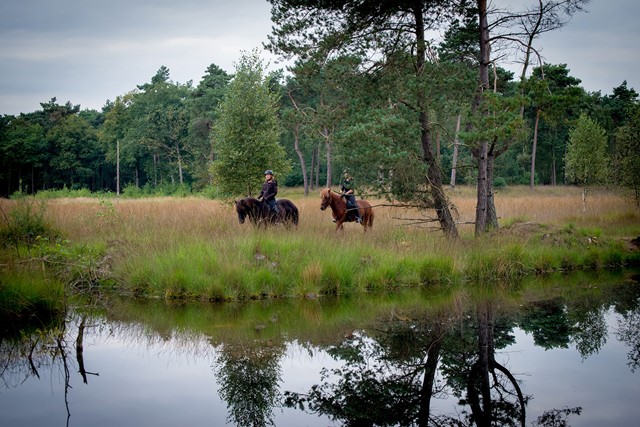 Top 8 Mooiste Wandelingen In Grensland De Baronie 3
