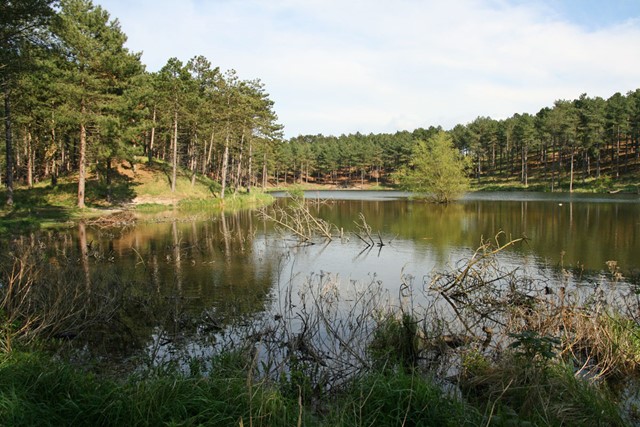 De Bosven in Boswachterij Westenschouwen