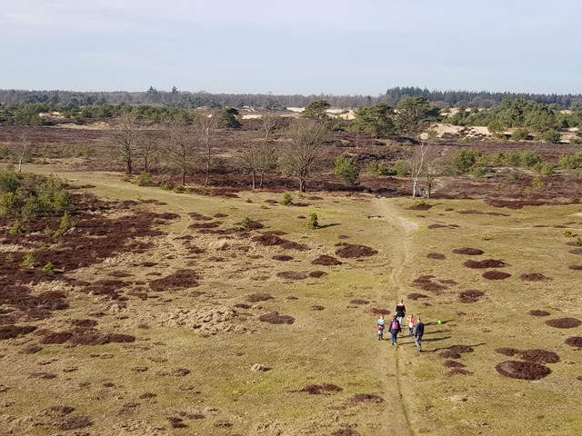 Wandelen in Buitensportwalhalla bij Appelscha