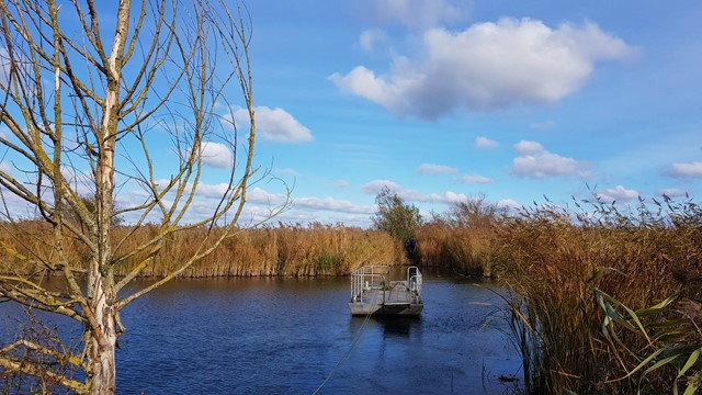 Rijnstrangenpad