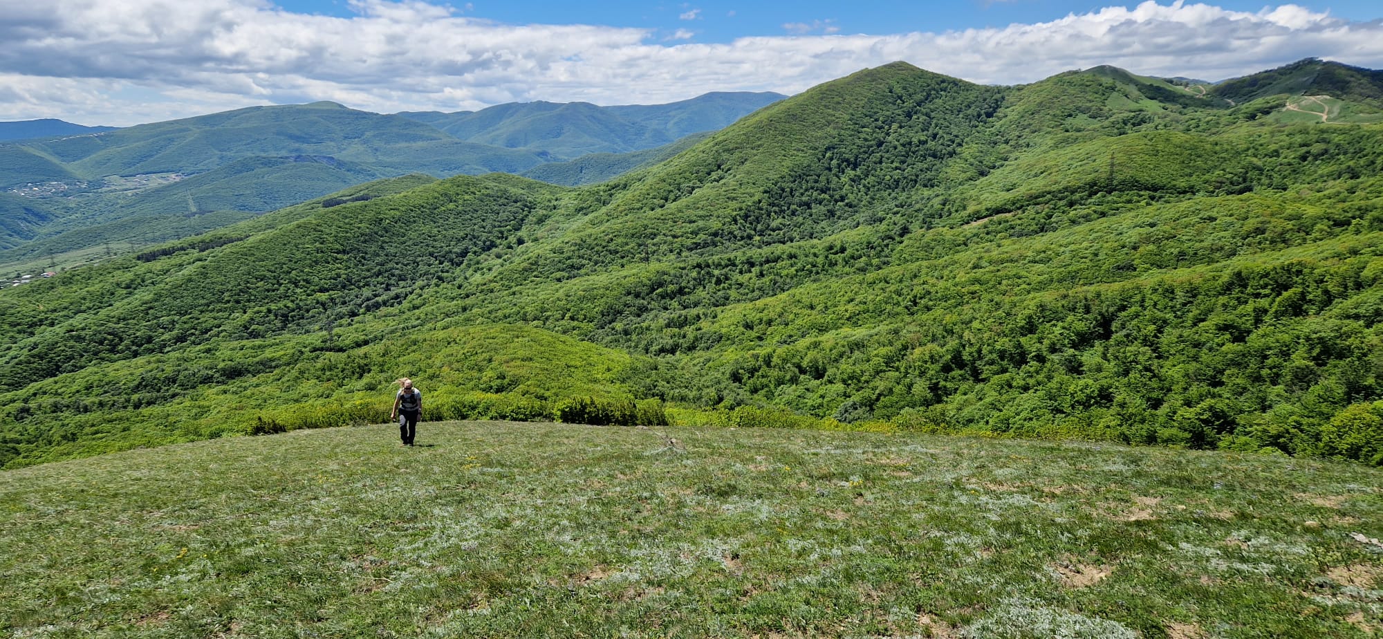 afbeelding van een weids uitzicht in Georgië.