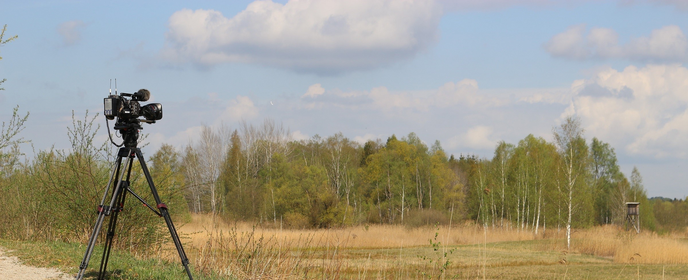 Header | /wandelwereld-hanne