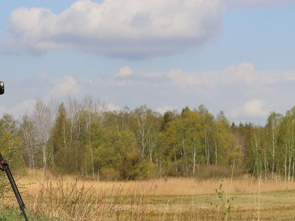 Header | /wandelwereld-hanne