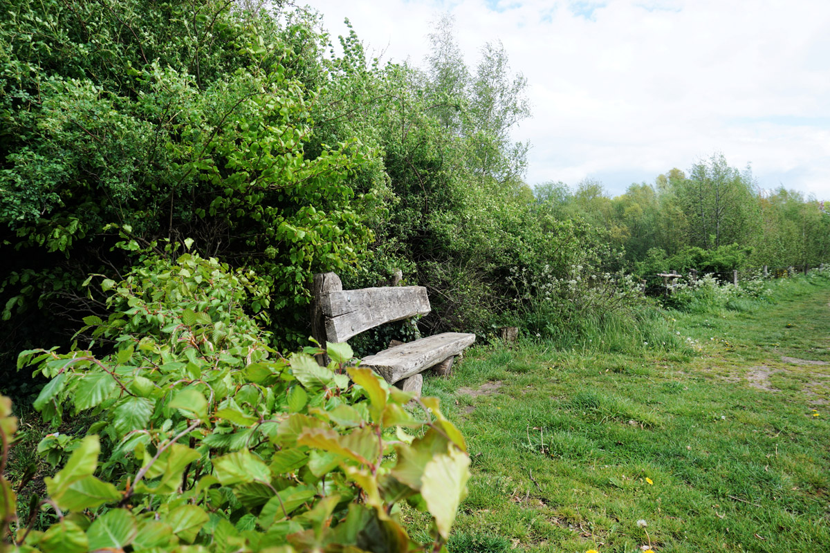afbeelding van een wandelbankje op het Pauwelspad.