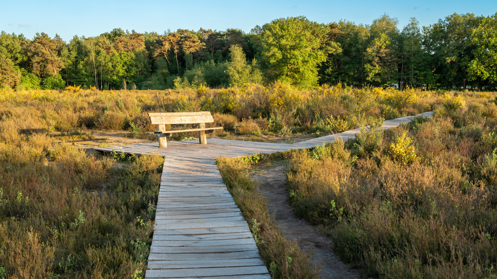 Wandelroute Mastbos Baronie van Breda Wandel