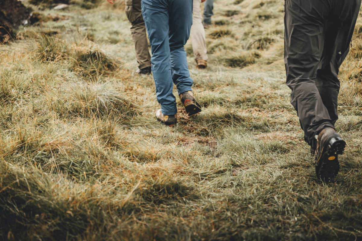 Wandelende mensen in het gras 