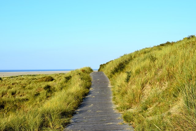 Hollands Duin