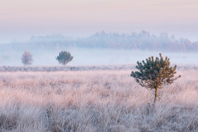 Wandelen in de ijstijd Landgoed De Hamert