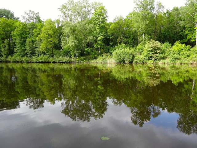 Voorsterbos