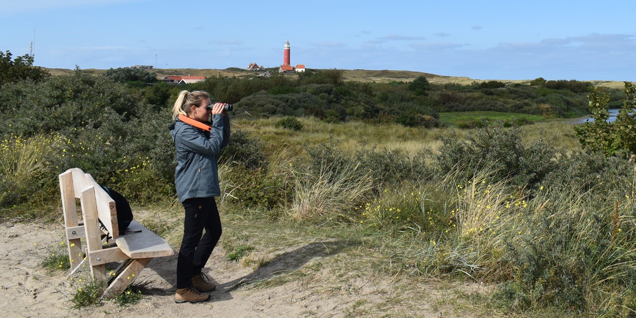 7X De Leukste Wandelexcursies Op Texel: Uitkijkpunt Texel