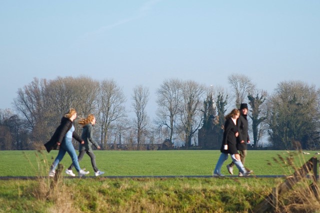 afbeelding van 4 wandelaars in de weilanden.