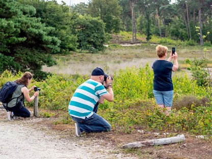 afbeelding van deelnemers aan een fotografieworkshop in de natuur.