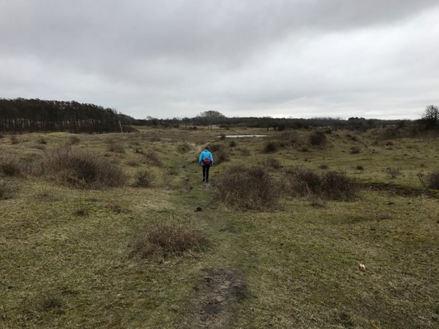 Wandelen bij Oostvoorne