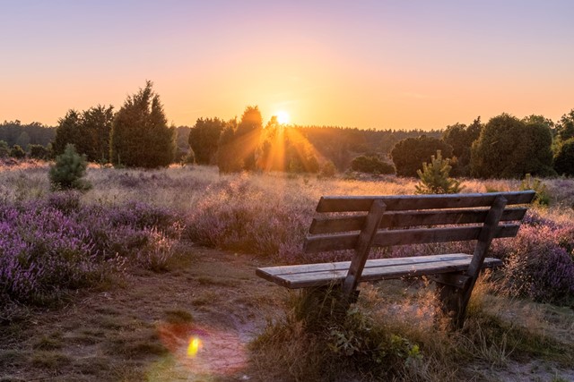 afbeelding van een zonsondergang op de heide.