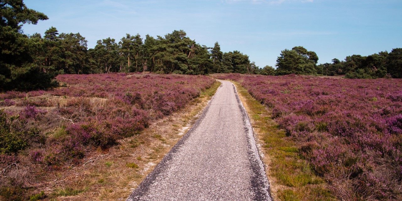 Wandelroute Nationaal Park De Hoge Veluwe Belevingsroute