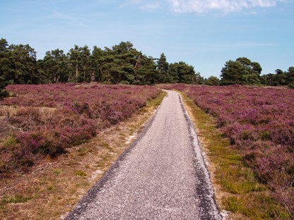 Wandelroute Nationaal Park De Hoge Veluwe Belevingsroute