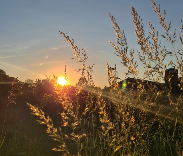 golden hour