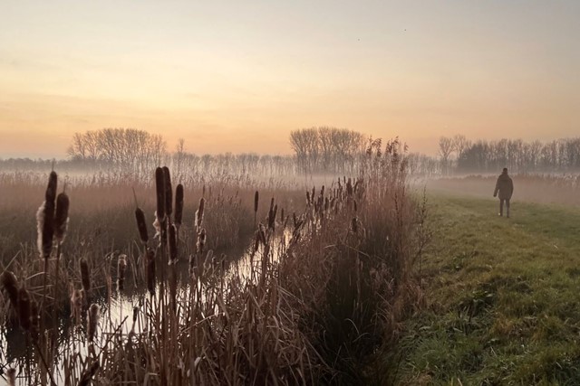 Wandelen In De Vroege Ochtend Dit Zijn De Voordelen Fris En Fit