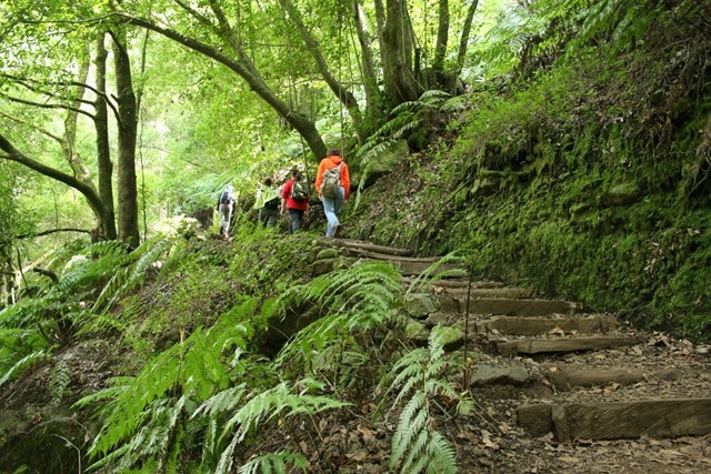 Biosfeerreservaat Reserva de la Biosfera de La Palma