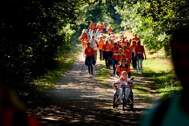 Het Oranjepad (3)