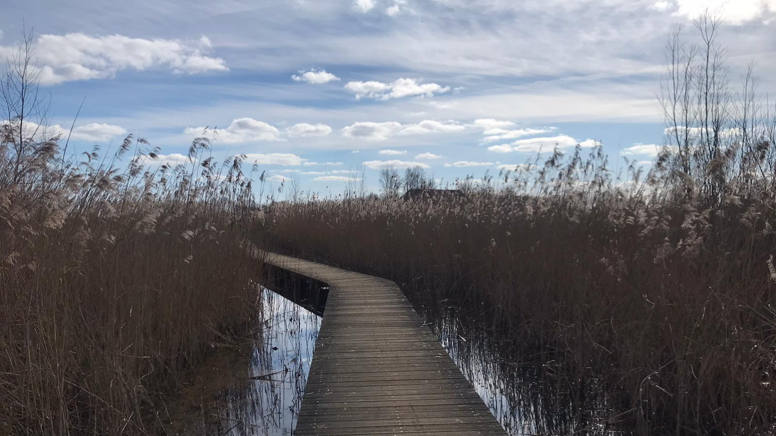 Pieterpad Etappe 14 Vorden