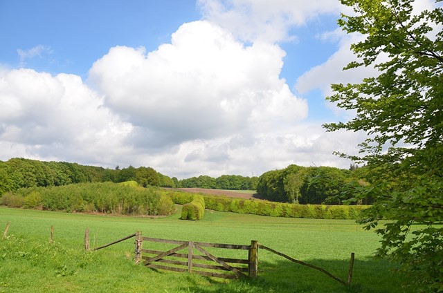 Groene Bedstee in Park Mariëndaal Arnhem