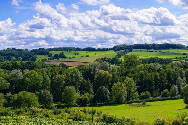 Wandelvakantie Nederland Mooiste Wandelreizen Nederland Zuid Limburg