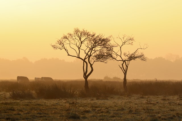 Dwingelderveld Cindy Kuiphuis