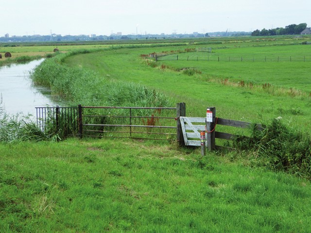 De westelijke ringdijk van het Blijkmeer 