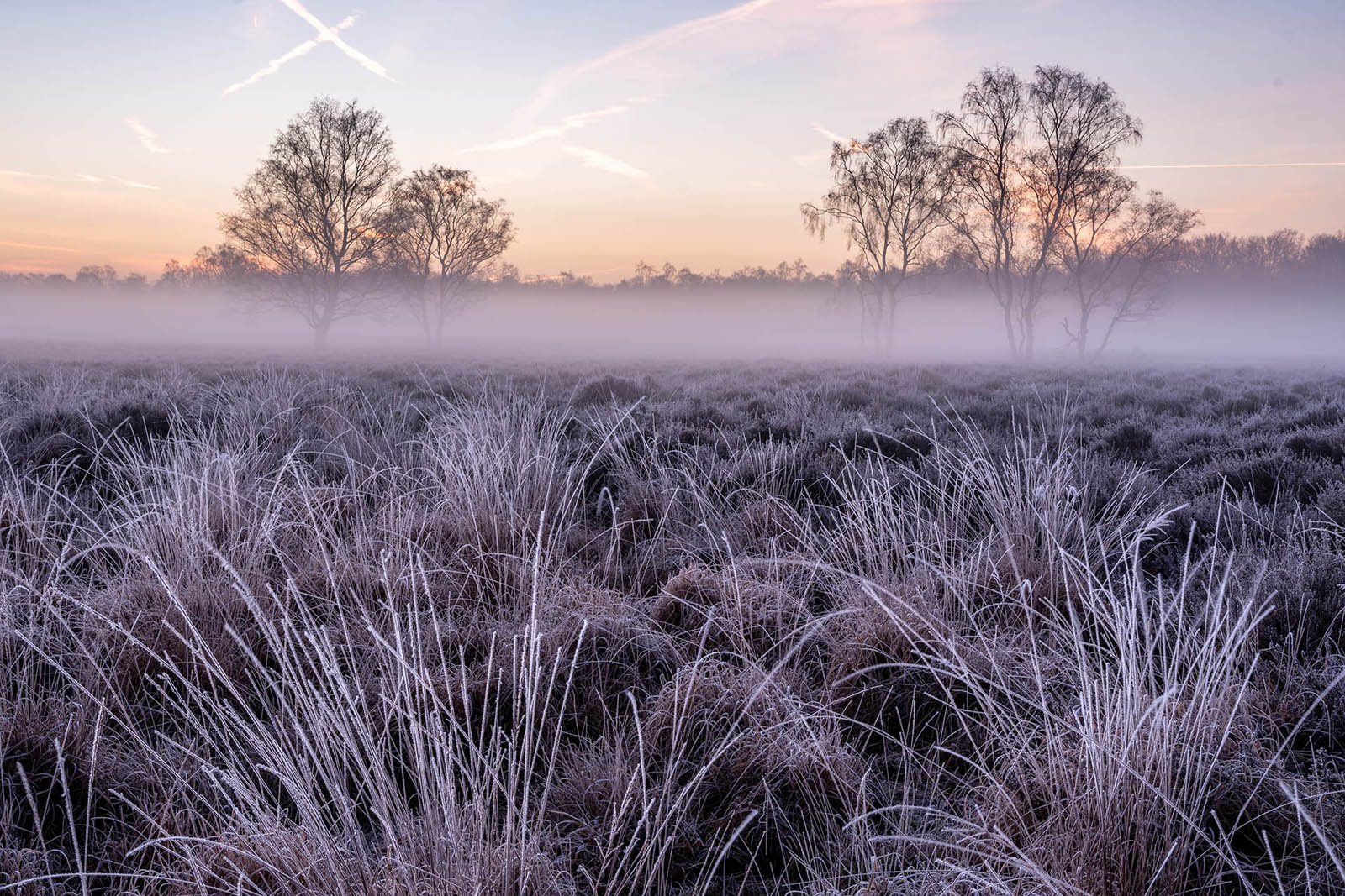 Wandelen in de ijstijd Landgoed De Hamert; mist, heide