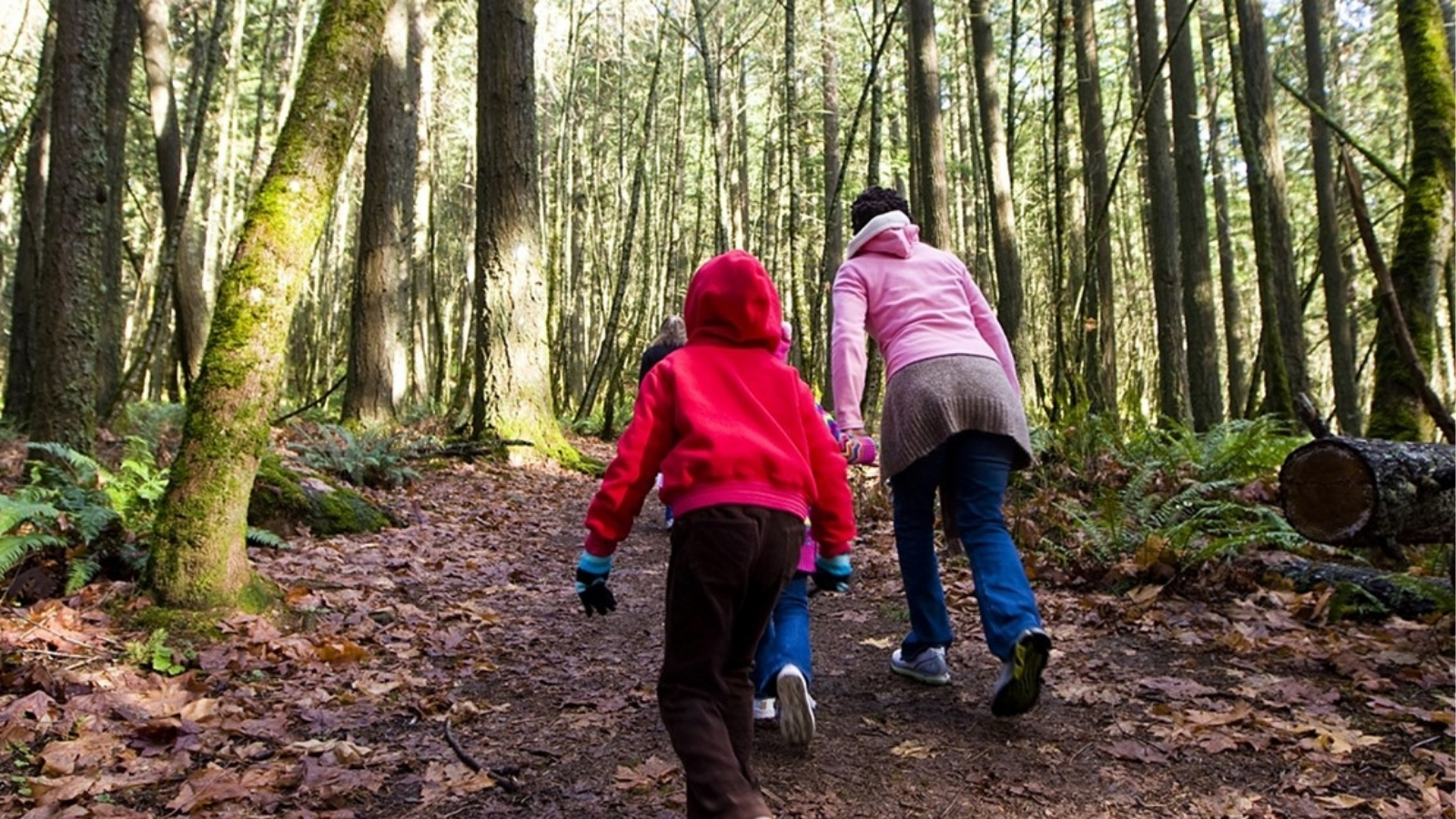 Stevige Wandelroutes Over Heuvels Wallen En Duinen 10 Tips