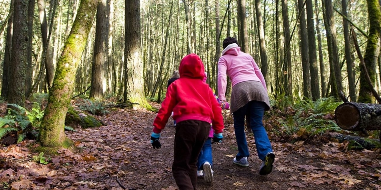Stevige Wandelroutes Over Heuvels Wallen En Duinen 10 Tips
