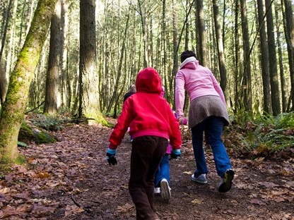 Stevige Wandelroutes Over Heuvels Wallen En Duinen 10 Tips
