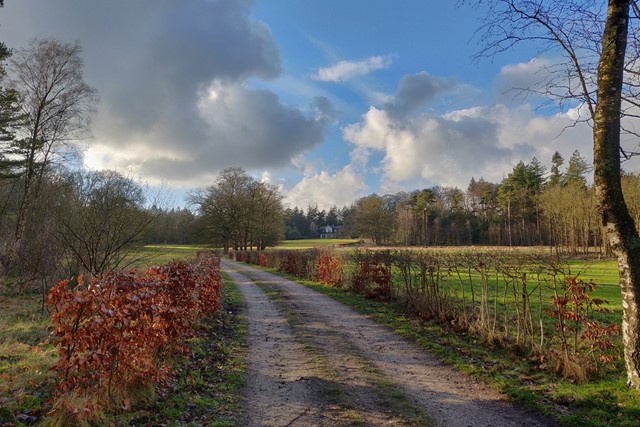 pad door een grasveld met landhuis in de verte.