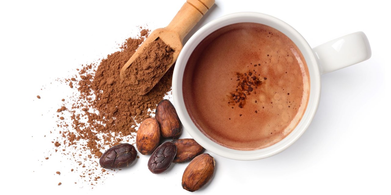 Cacao Een Gezond Recept Voor Elk Seizoen: cacao poederbonen