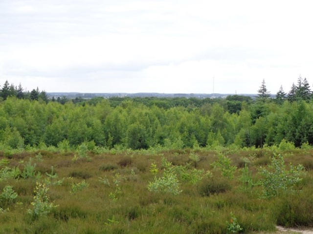 Uitzicht vanaf de Amerongse berg