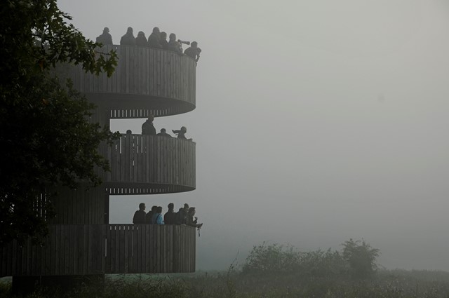 Uitkijktoren in het Weerterbos