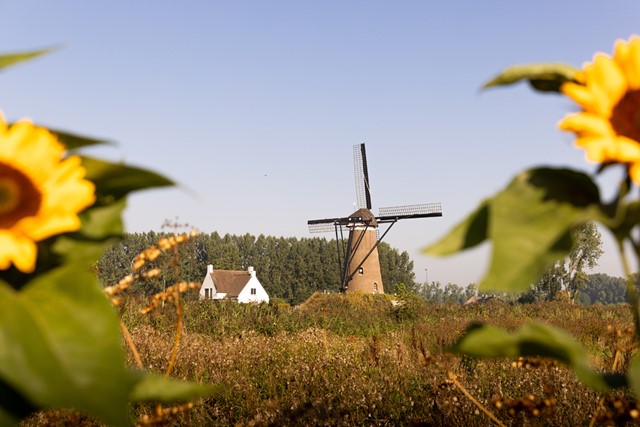 Ontdek het echte Brabant met 3 themawandelingen: Van Gogh NP Wandelroute Nuenen, molen