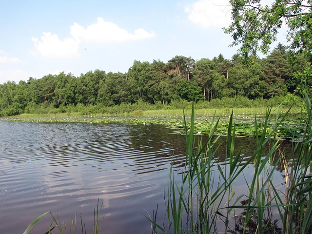 De Meinweg