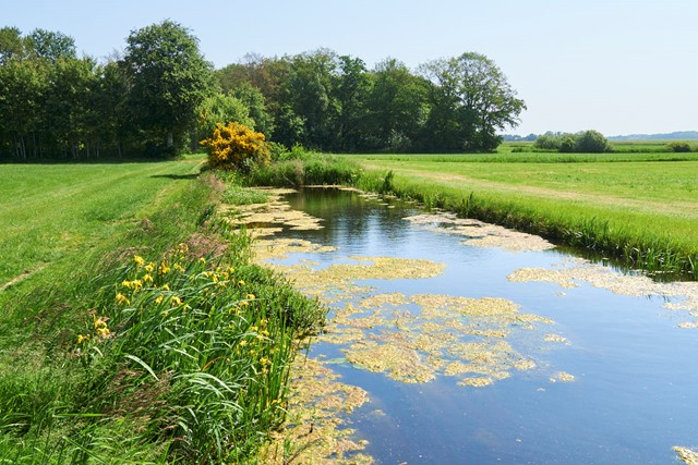 Wandelroute Weg Van Oudehorne, Friesland